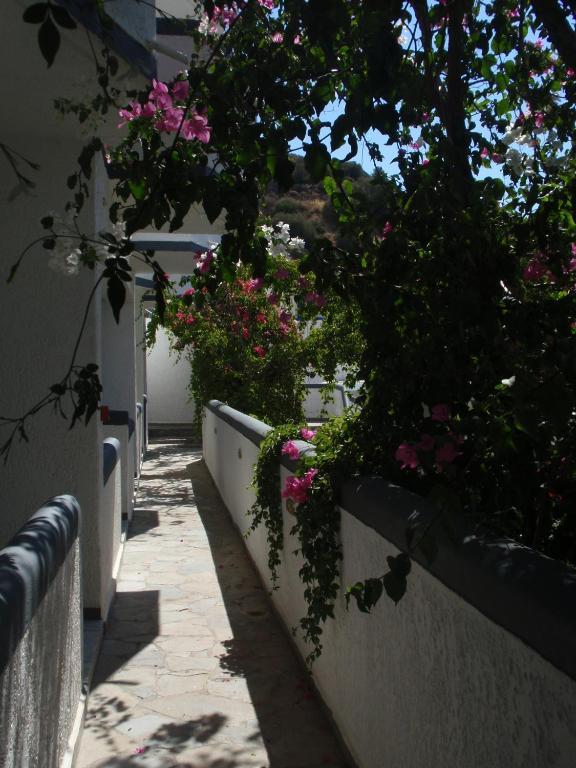 Fevro Hotel Agia Galini Habitación foto
