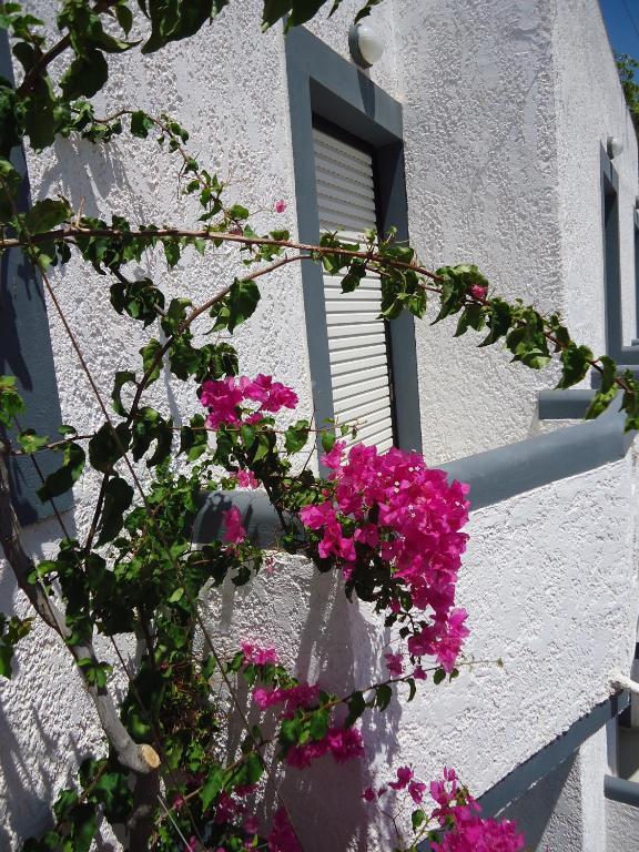 Fevro Hotel Agia Galini Exterior foto
